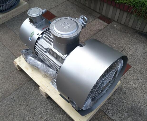 變頻防爆漩渦氣泵